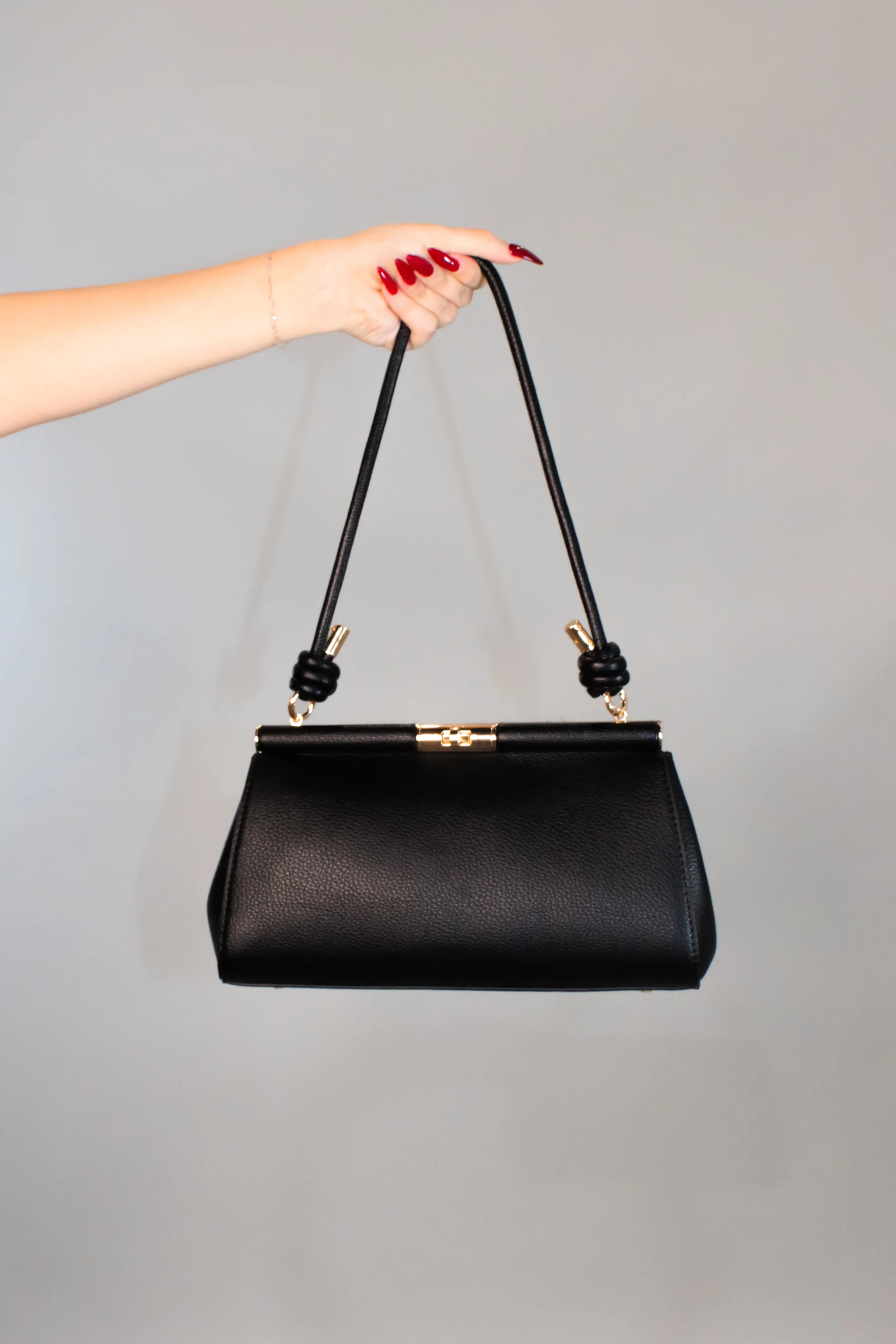 To Show Purse - Black - Brown - Pink - Blue - Image 2